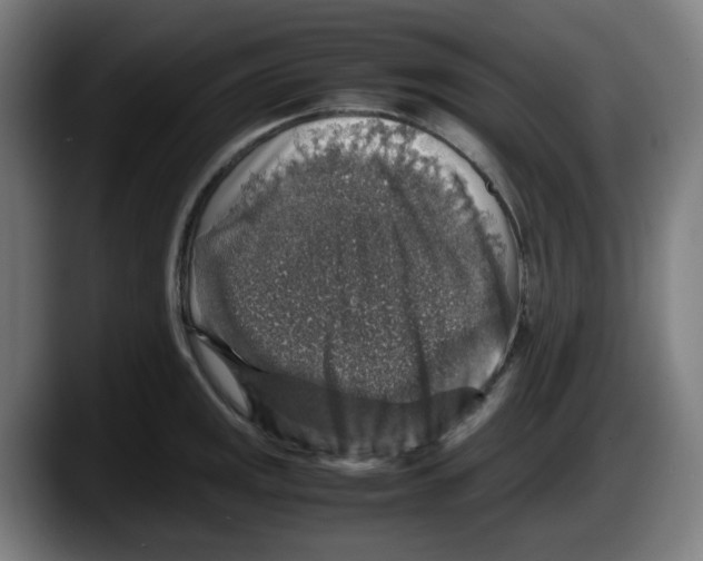 X0000087601141200705251917