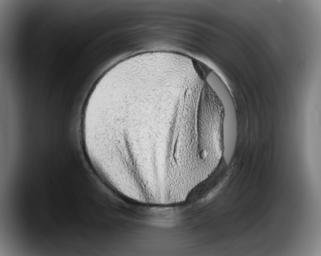 X0000087601142200705251917