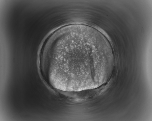 X0000087601144200705251917