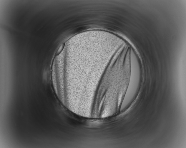 X0000087601145200705251917