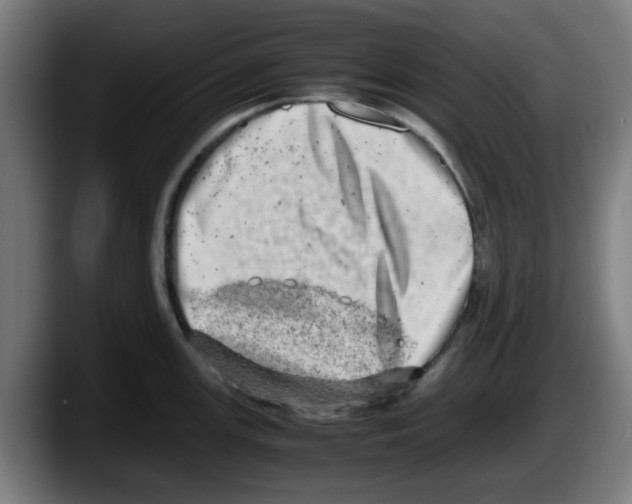 X0000087601147200705251917