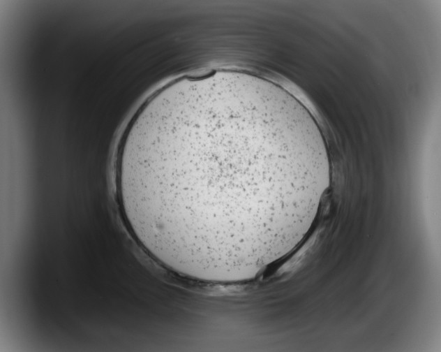 X0000087601148200705251917