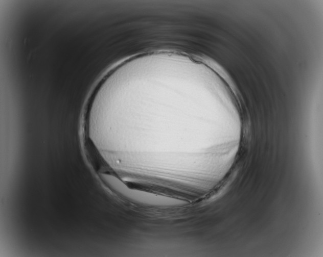 X0000087601149200705251917