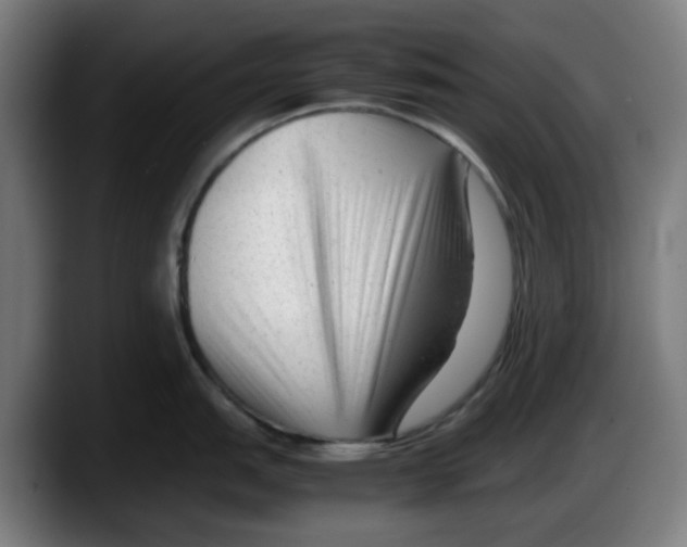 X0000087601151200705251917