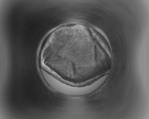 X0000087601152200705251917