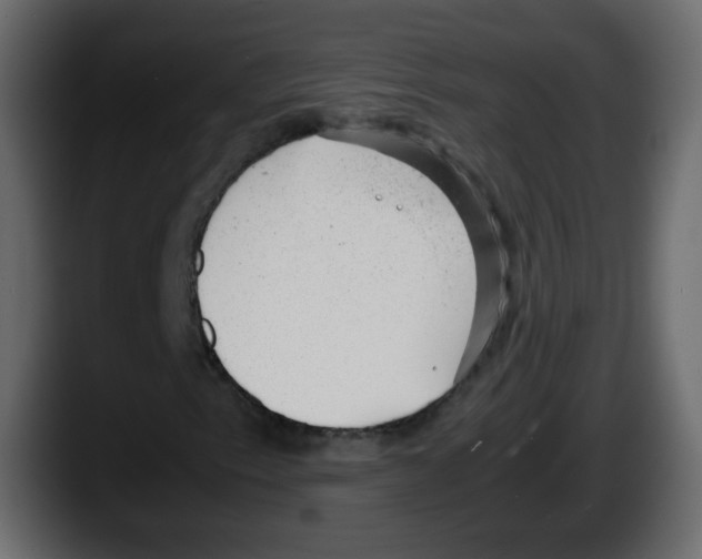 X0000087601153200705251916