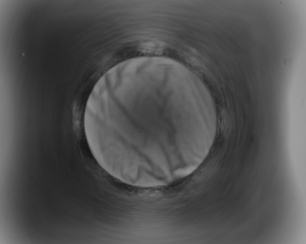 X0000087601154200705251916