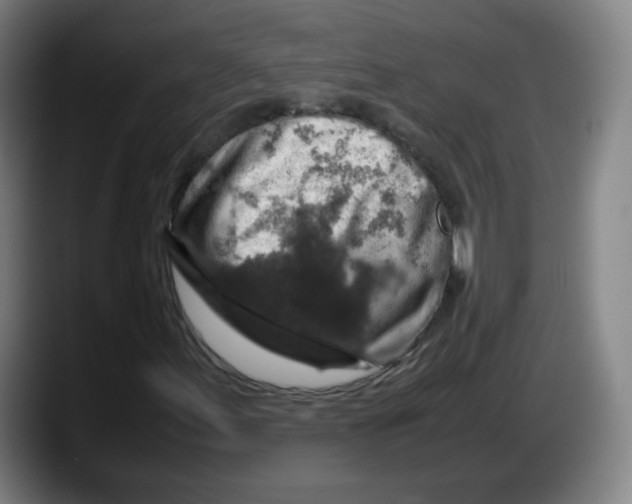 X0000087601155200705251916