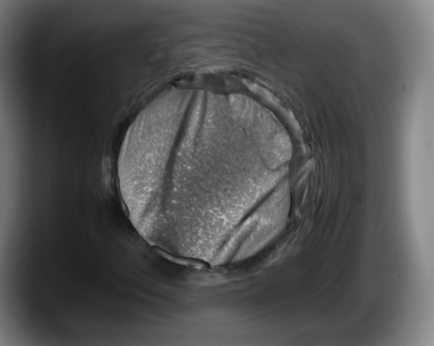 X0000087601156200705251916