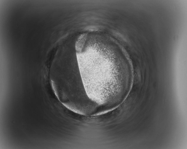 X0000087601158200705251916