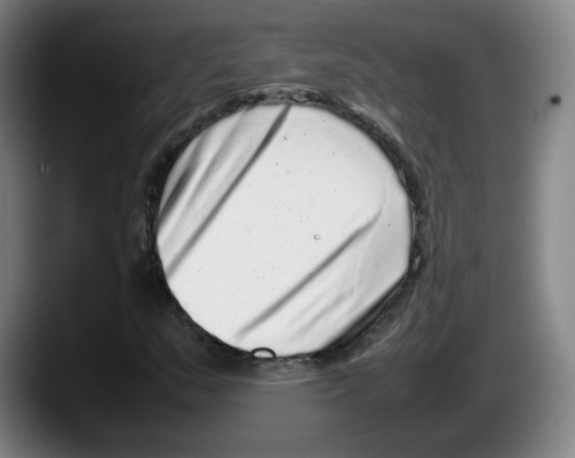 X0000087601159200705251916