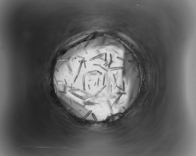 X0000087601160200705251916