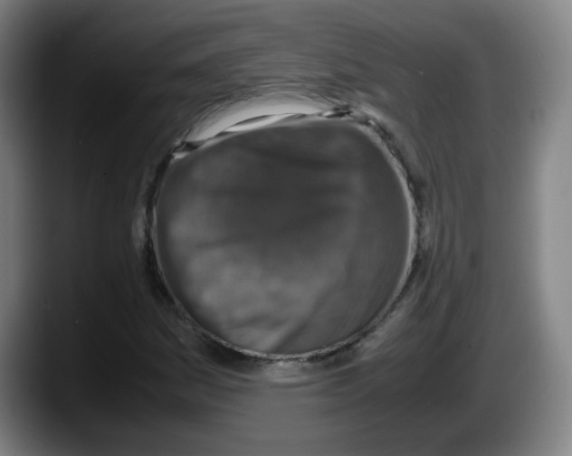 X0000087601161200705251916