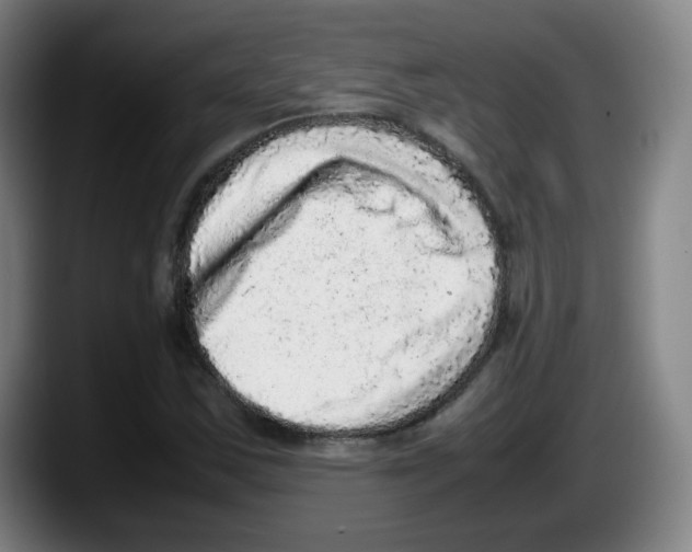 X0000087601163200705251916