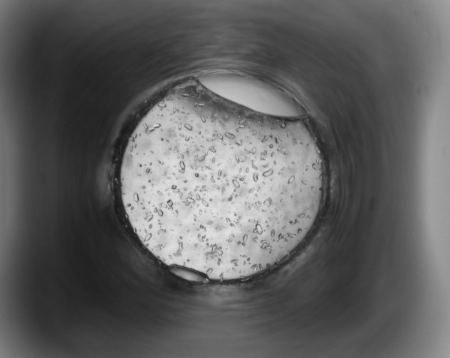 X0000087601164200705251916