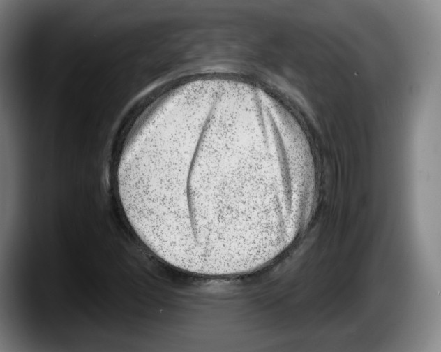 X0000087601166200705251916