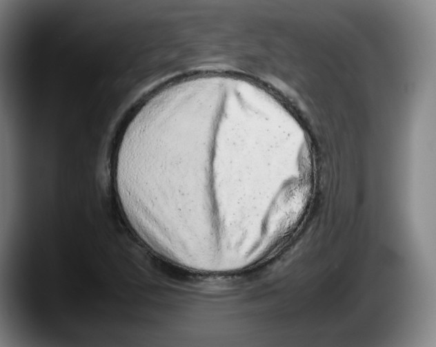 X0000087601167200705251916