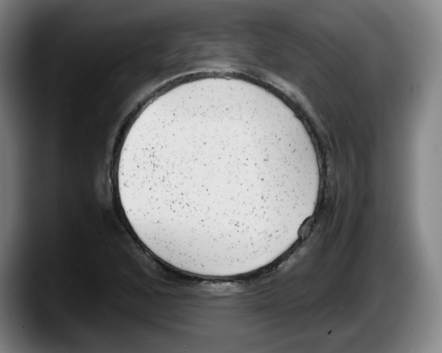 X0000087601168200705251916