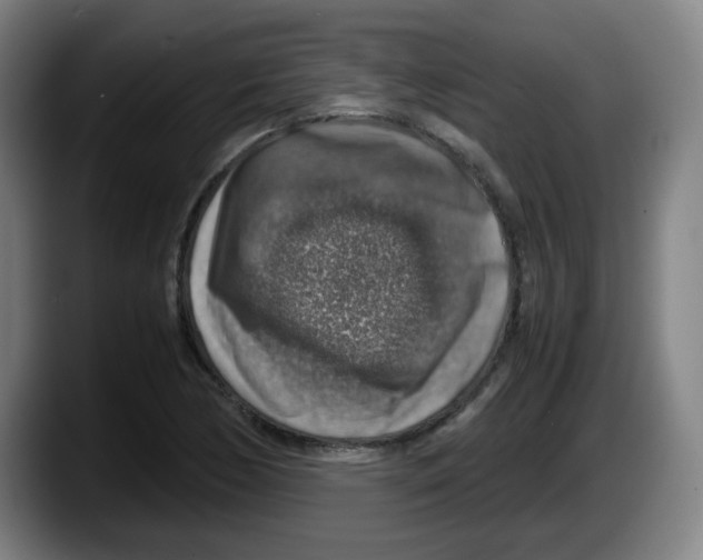 X0000087601170200705251916