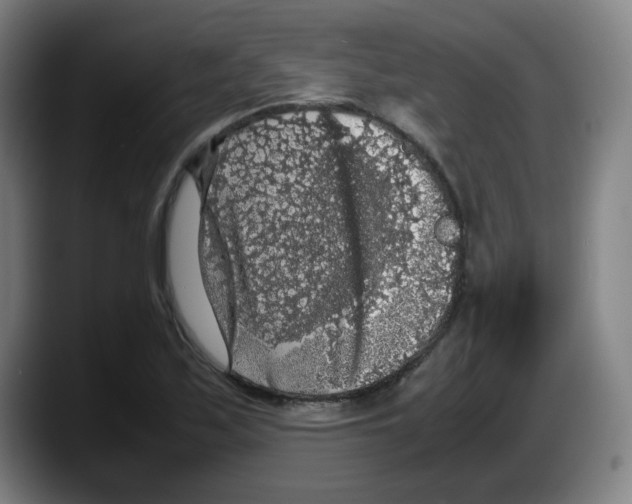 X0000087601171200705251916