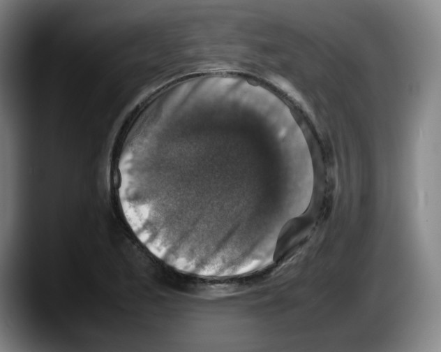 X0000087601173200705251916