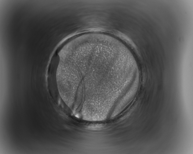 X0000087601174200705251916