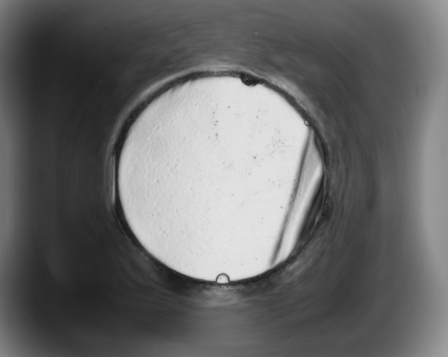 X0000087601175200705251916