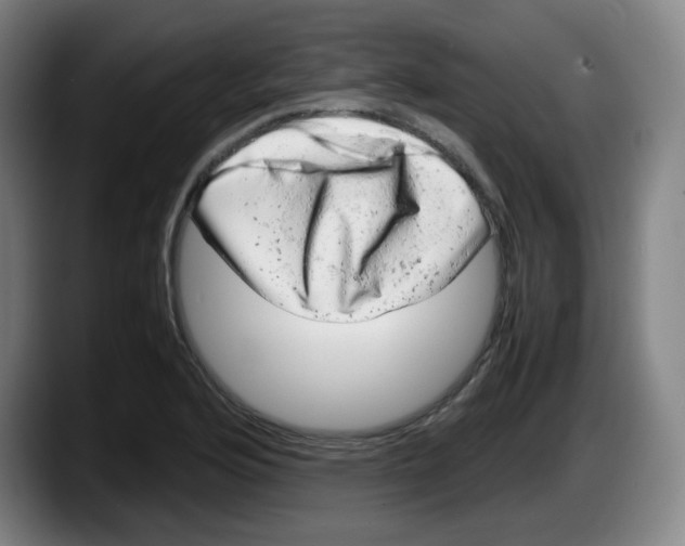 X0000087601176200705251916