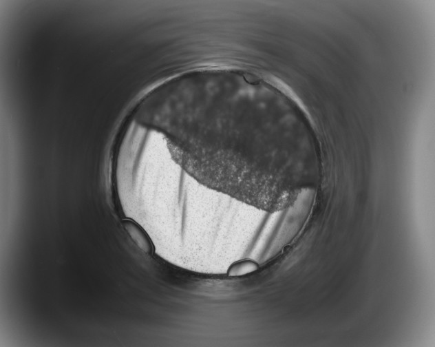 X0000087601179200705251916