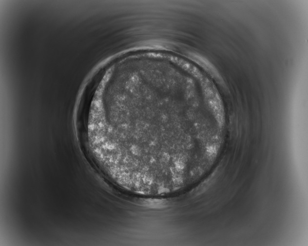 X0000087601180200705251916