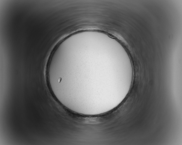 X0000087601181200705251916