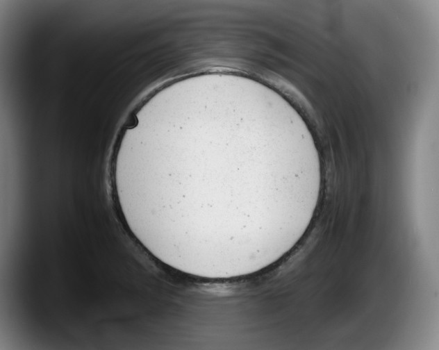 X0000087601182200705251916