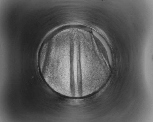 X0000087601184200705251916