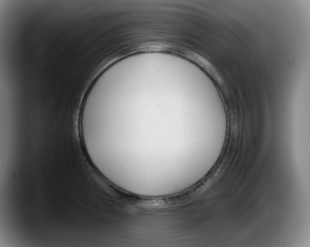 X0000087601186200705251916