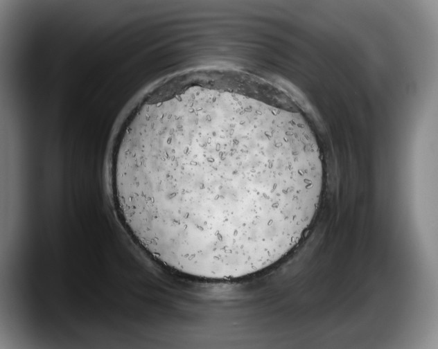 X0000087601188200705251916