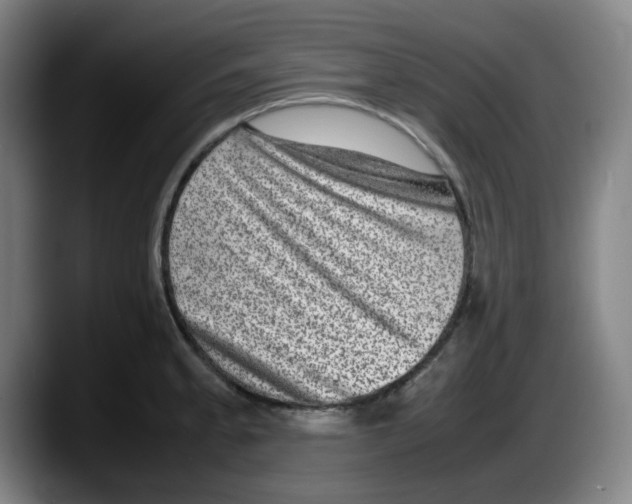 X0000087601189200705251916