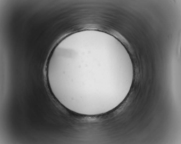 X0000087601190200705251916