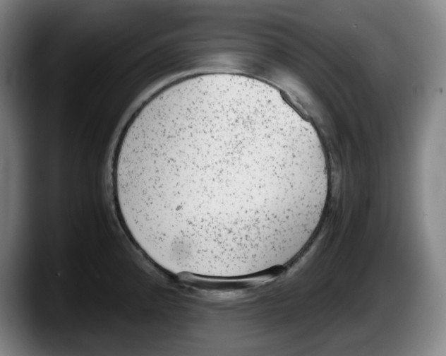 X0000087601192200705251916