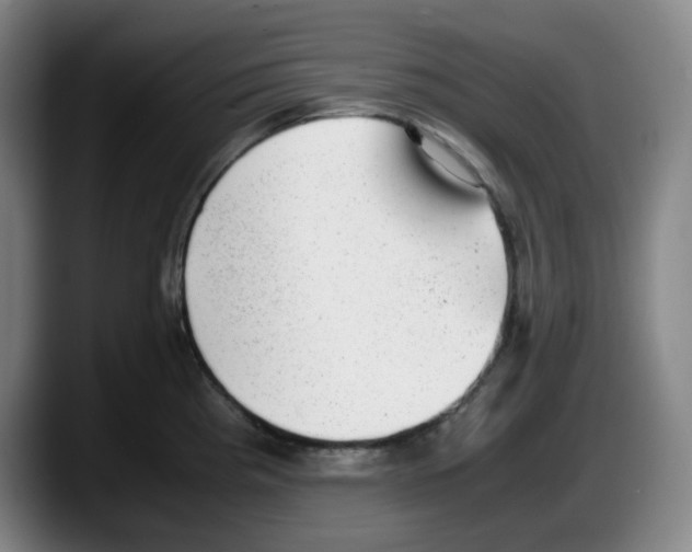 X0000087601193200705251916