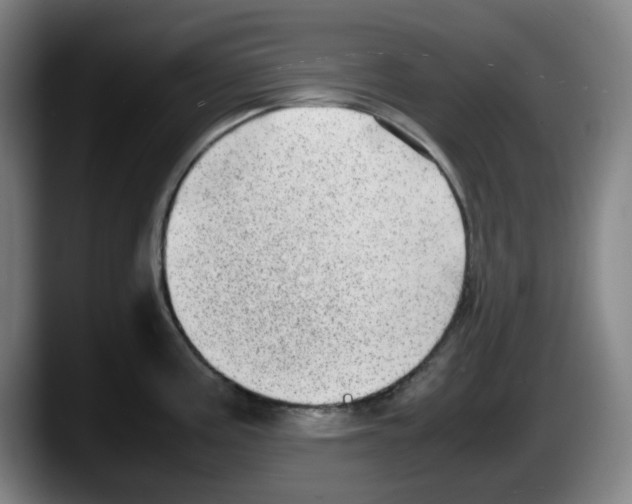 X0000087601195200705251916