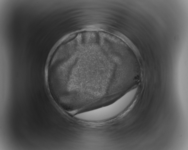 X0000087601196200705251916