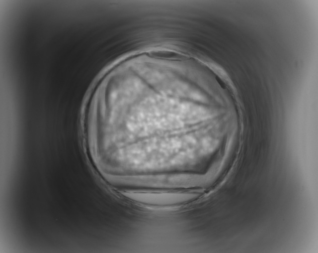 X0000087601200200705251916