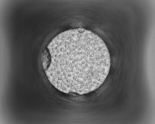 X0000087601201200705251915