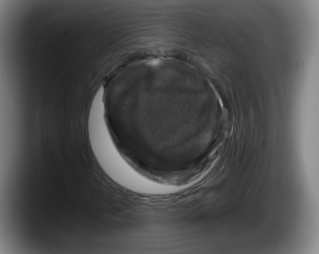 X0000087601202200705251915