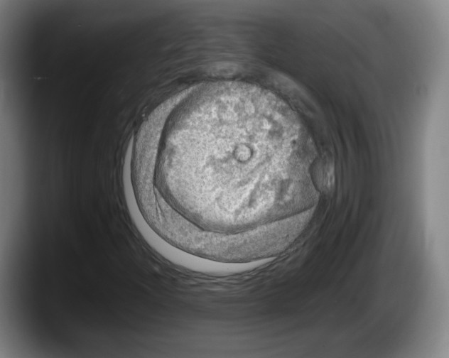 X0000087601204200705251915