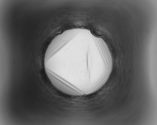 X0000087601205200705251915