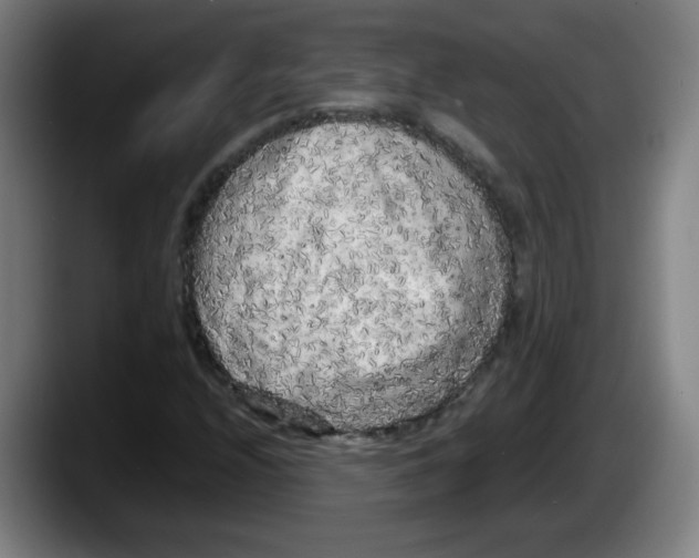 X0000087601208200705251915