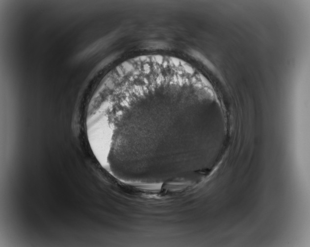 X0000087601213200705251915