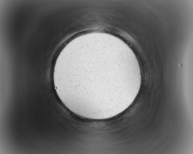 X0000087601216200705251915