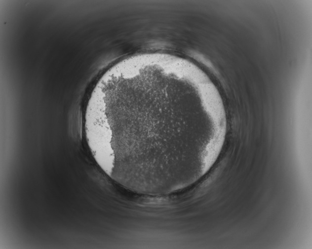 X0000087601219200705251915